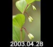 2003.04.28