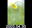 2003.04.30