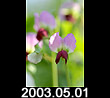 2003.05.01