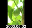 2003.05.02