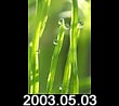 2003.05.03