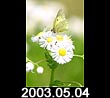 2003.05.04