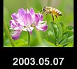 2003.05.07