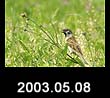 2003.05.08