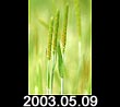 2003.05.09