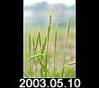 2003.05.10