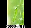 2003.05.13