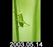 2003.05.14