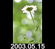 2003.05.15
