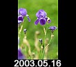 2003.05.16