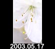 2003.05.17