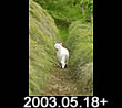2003.05.18