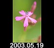 2003.05.19