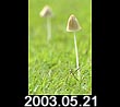 2003.05.21