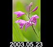 2003.05.23