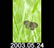 2003.05.24