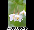 2003.05.25