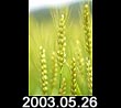 2003.05.26