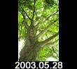 2003.05.28