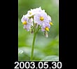 2003.05.30
