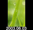 2003.06.03