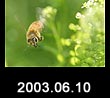 2003.06.10