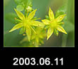 2003.06.11