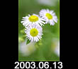 2003.06.13