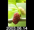 2003.06.14