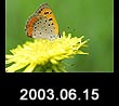 2003.06.15