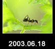 2003.06.18
