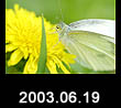 2003.06.19