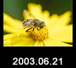 2003.06.21