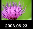 2003.06.23