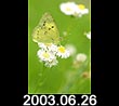 2003.06.26