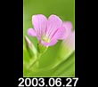 2003.06.27
