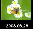 2003.06.28