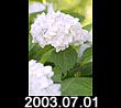 2003.07.01