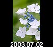 2003.07.02