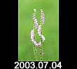 2003.07.04