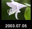 2003.07.05