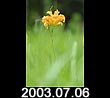 2003.07.06