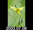 2003.07.08