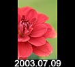 2003.07.09