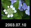 2003.07.10