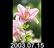 2003.07.15