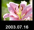 2003.07.16