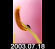 2003.07.18