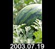 2003.07.19