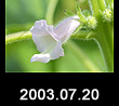 2003.07.20